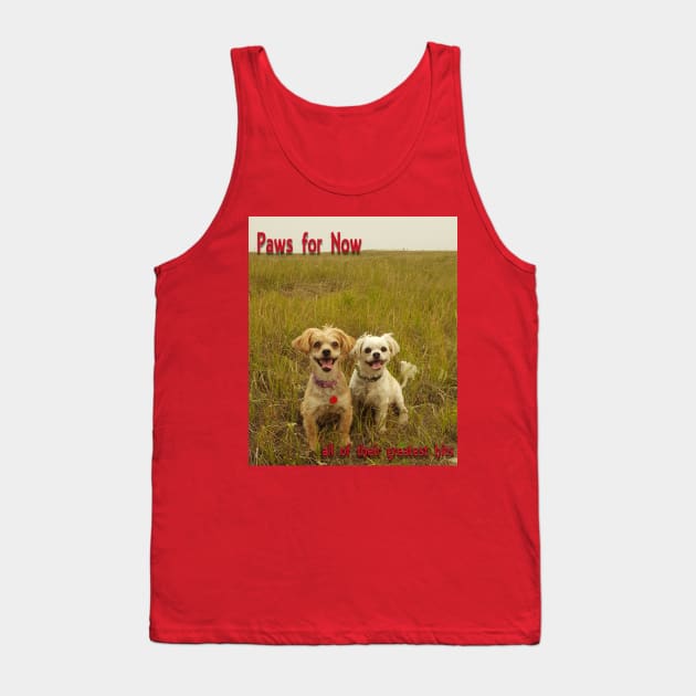 puppies in the field Tank Top by Kaczmania